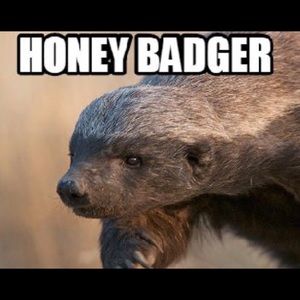 Meet your Posher, Honey